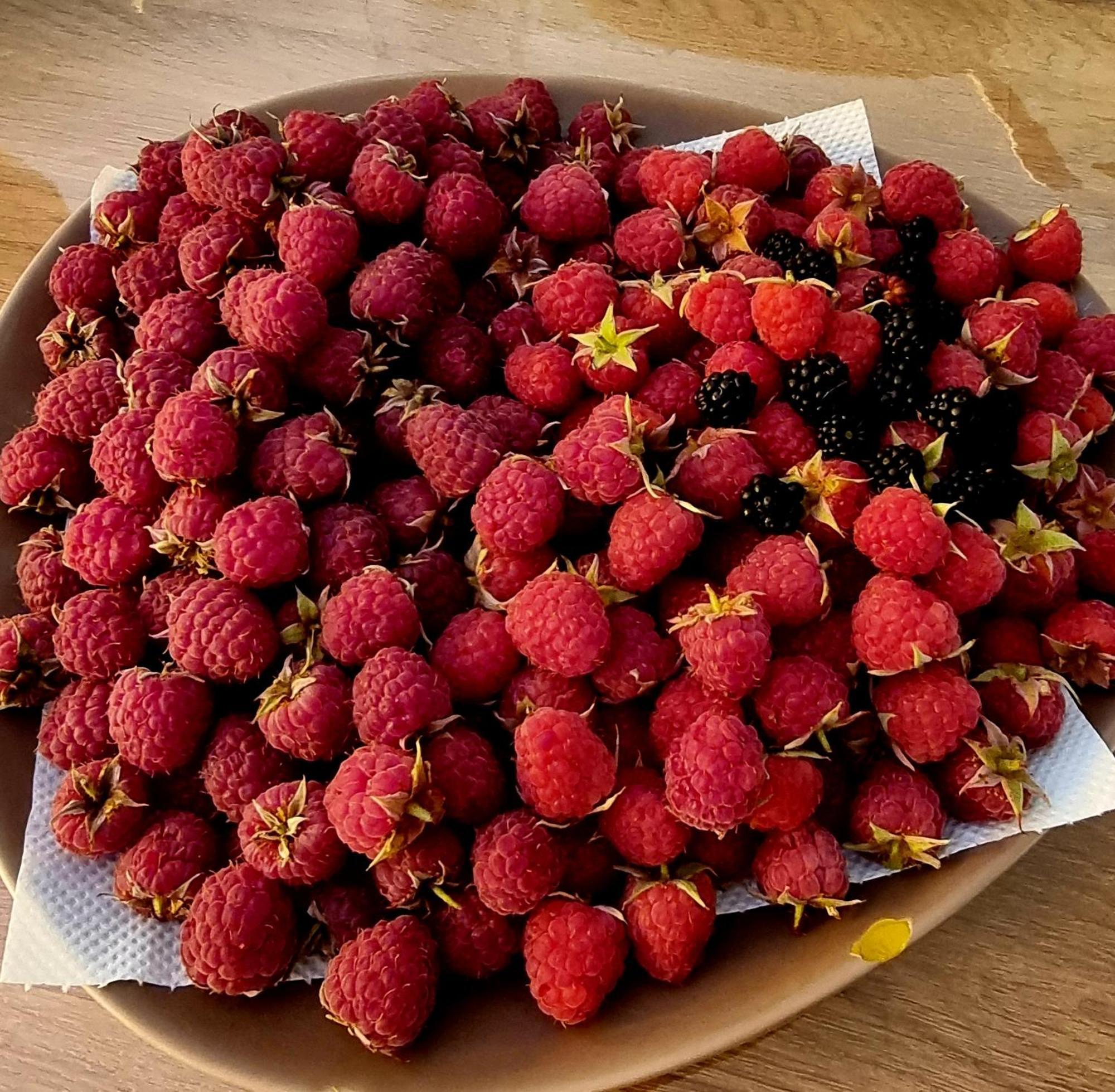 博尔戈阿莫扎诺Agriturismo Il Castello别墅 外观 照片